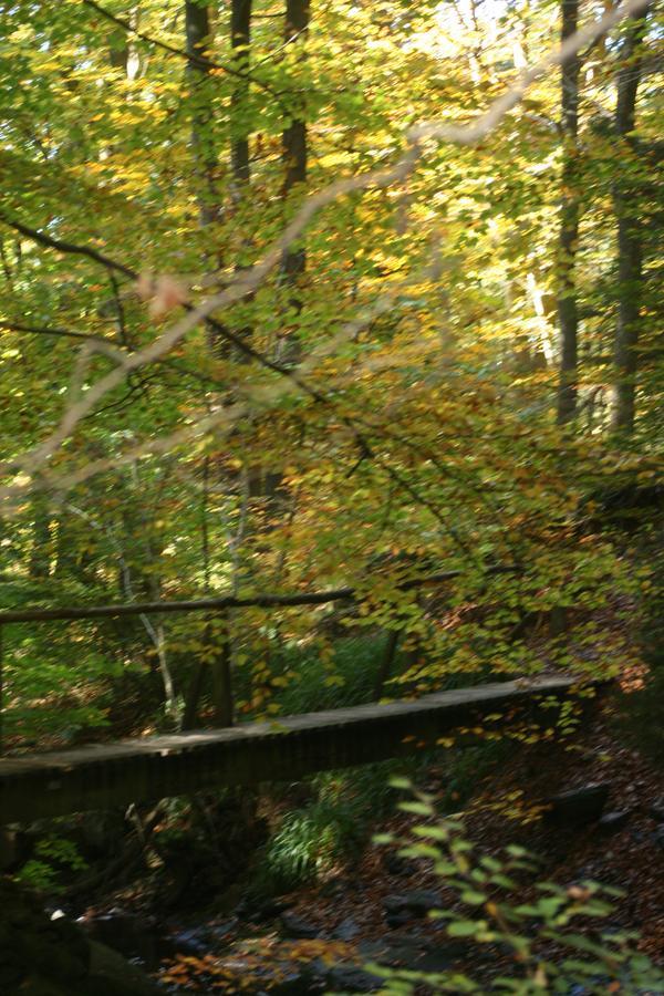 Les Chanterelles Jalhay Exterior foto